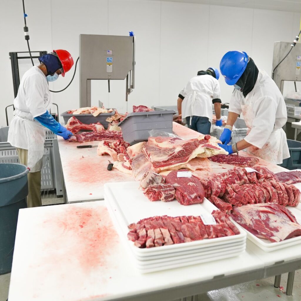 meat production